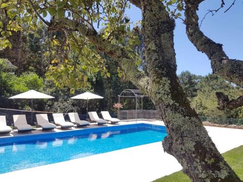 Amazing Viana do Castelo Villa - 6 Bedrooms - Villa Castello - Private Pool and Large Garden - North Portugal