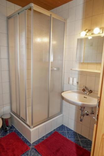 One-Bedroom Apartment with Shower