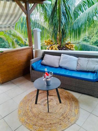 Coconing logements studios et maisons in Sainte Anne