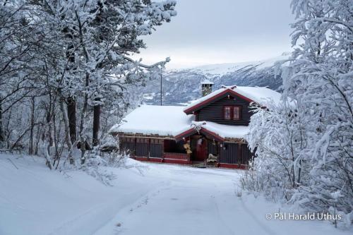 Stor og flott hytte med fantastisk utsikt - Geilo