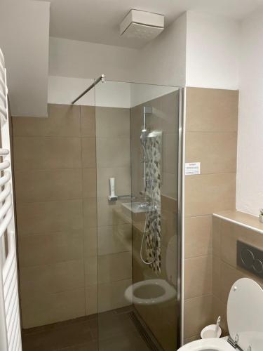 Guesthouse Stari Mayr - image 6