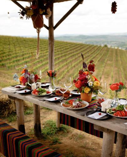 Omgivelser, Crama Mircesti in Ungheni