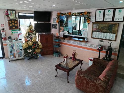 Hotel Villa De Las Flores Hotel Villa De Las Flores