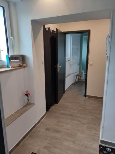 Bejárat, Deich in Karolinenkoog