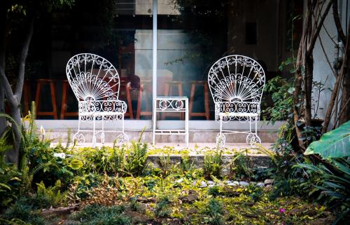 Hostal Cuija Coyoacan Berlin 268 Coyoacan in Coyoacán