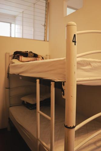 Bunk Bed in Female Dormitory Room   room in Hostal Cuija Coyoacan Berlin 268 Coyoacan