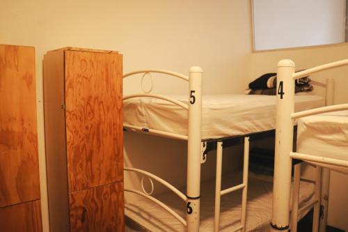Bunk Bed in Female Dormitory Room   image 3