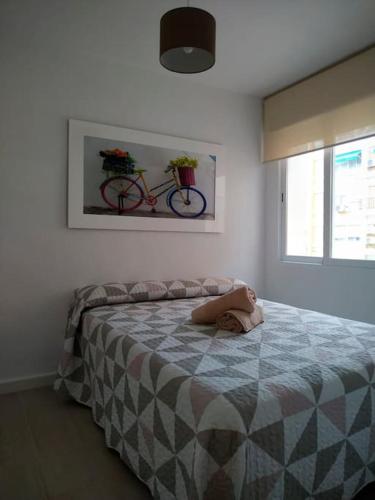Apartamento Premium, Relax & Confort - Parking Gratis, Córdoba (fotografie 5)