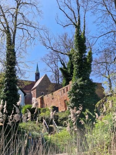 บริการและสิ่งอำนวยความสะดวก, Ferienhaus Gisela Arendsee in อเรนด์เซ (อัลท์มาร์ค)