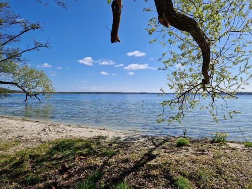 สภาพแวดล้อมโดยรอบ, Ferienhaus Gisela Arendsee in อเรนด์เซ (อัลท์มาร์ค)