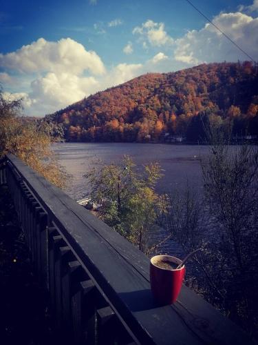Fala - Domki do wynajecia, Zagórze Śląskie (photo 2)