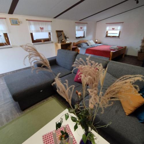 Holiday home Novak M in Donji Koncovcak