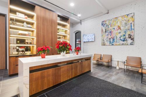 Convenient 2 Bed apartment in downtown Providence Federal Hill in Providence, USA