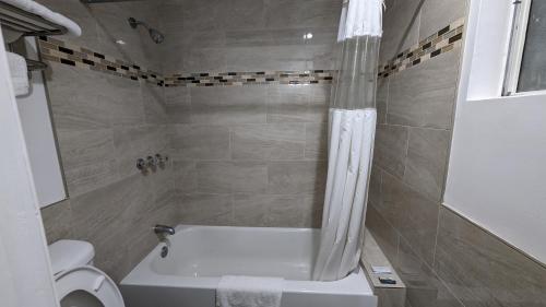 Airport Motel - Inglewood - image 12