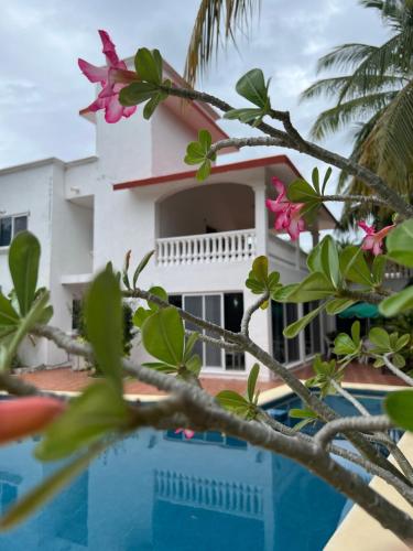 Casa del Rey en Playa Paraiso in Puerto Morelos, Mexiko
