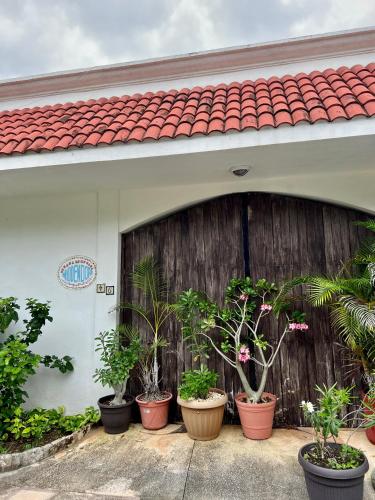 Casa del Rey en Playa Paraiso in Puerto Morelos, Mexico