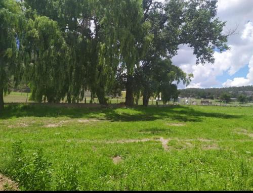 Meson del Bosque in ครีเอล