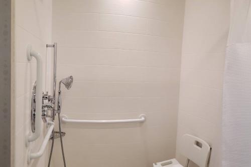 SpringHill Suites by Marriott Grand Junction Downtown/Historic Main Street - image 3
