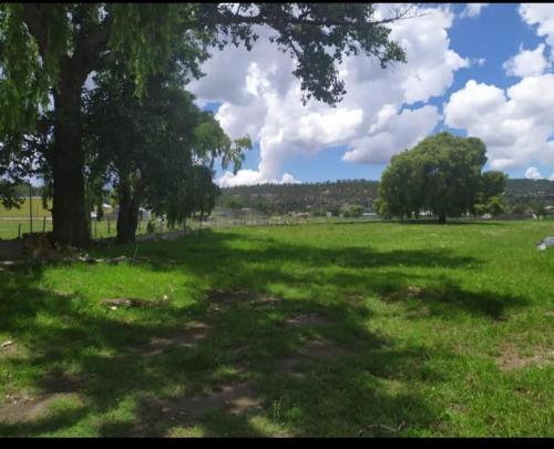 Meson del Bosque in ครีเอล