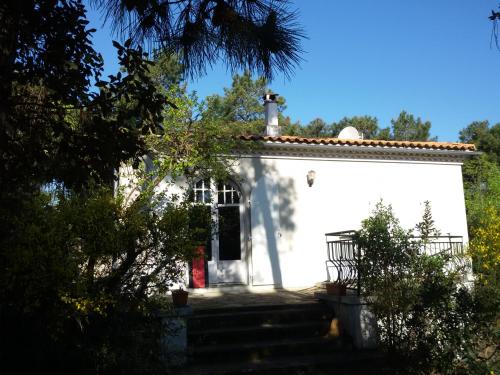 Large family house close to the beach - Location, gîte - Les Mathes