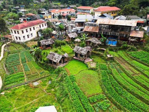 Rice Garden Eco Home