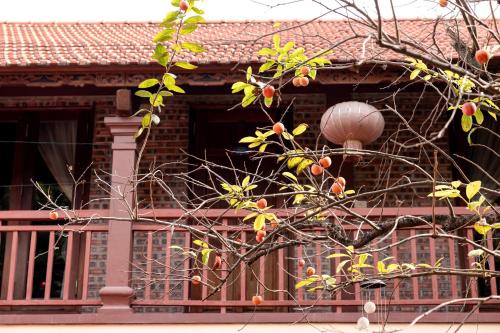 Tam Coc Ngoc Linh Bungalow Ninh Binh - 전망