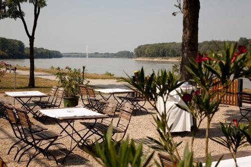 Krogs/atpūtas telpa, Gasthof zum Goldenen Anker in Hainburg An Der Donau