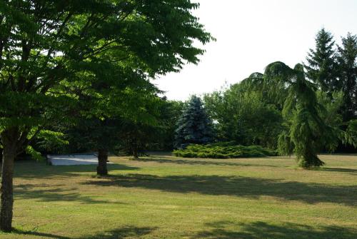 A l'Orée du Parc