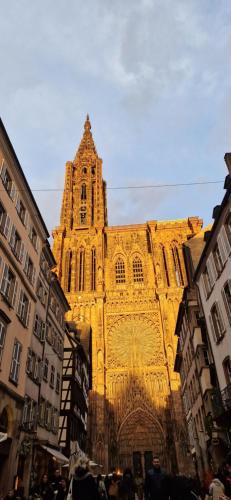 Cathédrale - Location saisonnière - Strasbourg