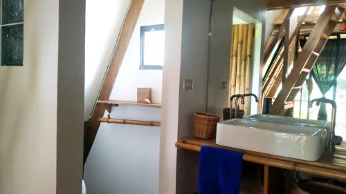 Tarzan's House Room Type - Loft