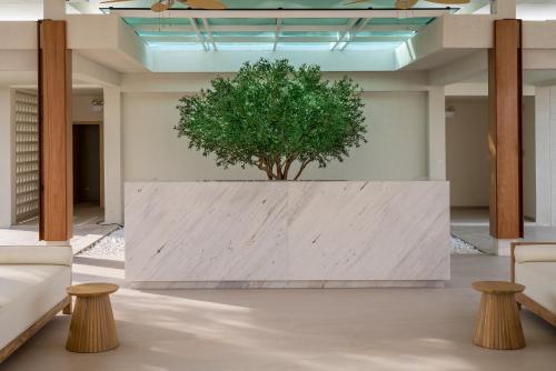 Lobby, Niranapa Boutique Resort in Kata