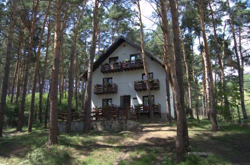 Complex Parc Pini Moinesti - image 5