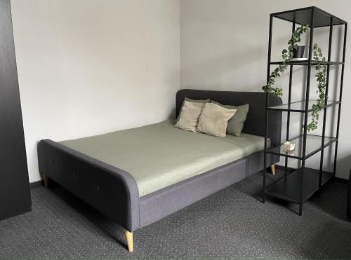 Apartment in Gediminas avenue, Vilnius city centre, Vilnius (foto 3)