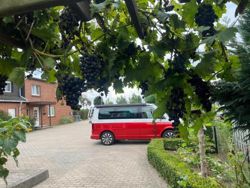 Neumühler Hof- Ferienwohnung "Benjamin", mit einer großen privater Dachterasse, entspannter Atmosphäre mit Sonnenuntergang