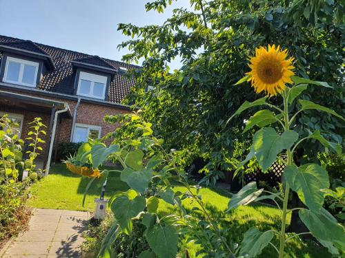 Neumühler Hof - moderne Ferienwohnung "Janica" mit ruhiger Lage zum Garten raus mit kostenfreien Wlan und Netflix