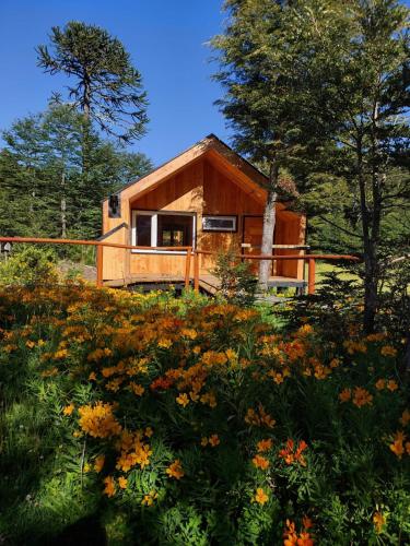 Sollipulli Cabaña Chucao, Lodge Nevados de Sollipulli