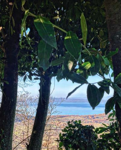 Un Giardino sul Lago