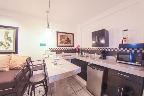 One-Bedroom Apartment image 2