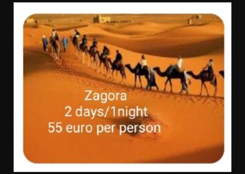 Riad Tifor – Marrakech, KY