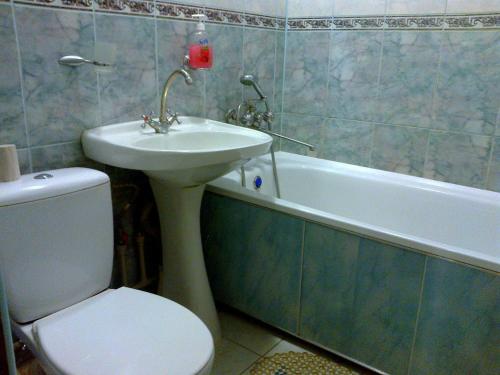 Apartment on Robitnycha, Sumy (fotografie 9)