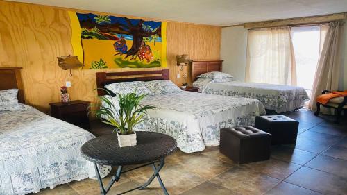 . Hostal Harepakoba