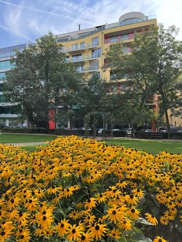 Apartment in historical center with park view, Plzeň (fotografie 7)