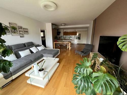 Apartment in historical center with park view, Plzeň (fotografie 2)