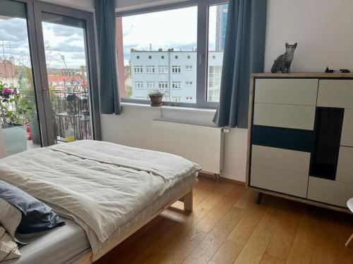 Apartment in historical center with park view, Plzeň (fotografie 4)