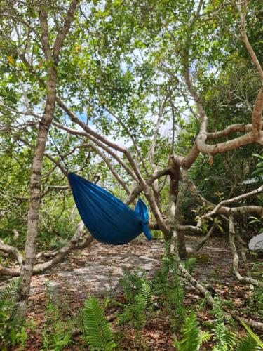 Camping Que Brota do Chão