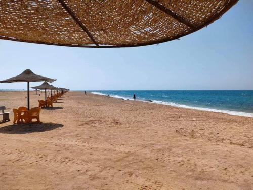 White on the sea, Ras Sudr (Foto 9)