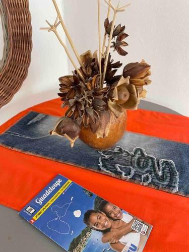 Logement «&nbsp;Alpinia&nbsp;» in Capesterre-de-Marie-Galante