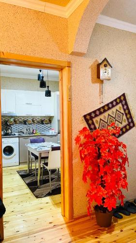 keuken, AkbA-Frame1 in Ismailli