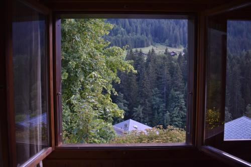 Chalet familial pour l'été