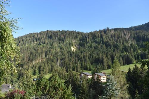 Chalet familial pour l'été